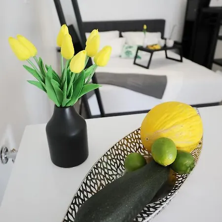 Luxury 1107 Apartment Zadar